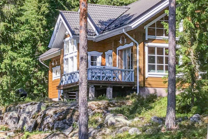 Näsinjoutsen - foto 3