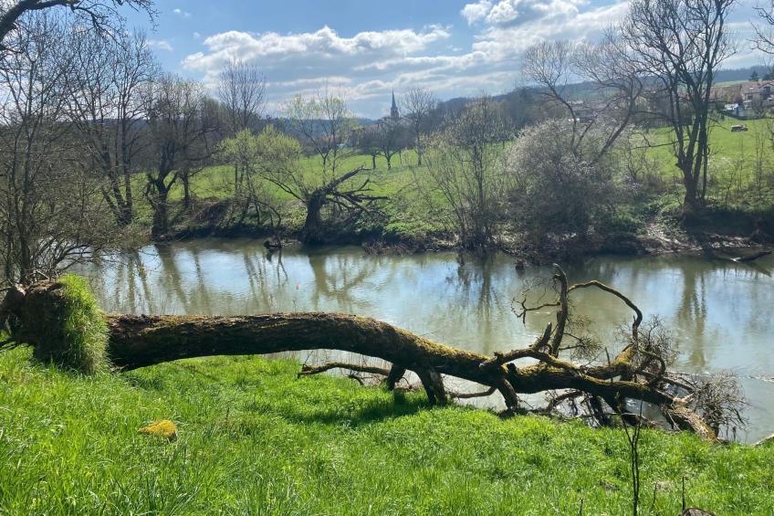 Appartement mit Balkon - foto 33