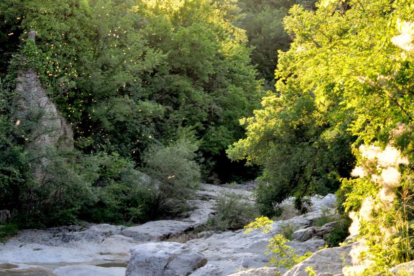 Istrien Traditionelles Steinhaus 8 - foto 11