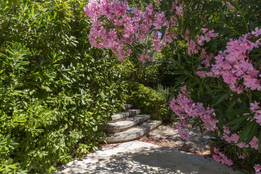 Villa Maussane (MSL100) - foto 28