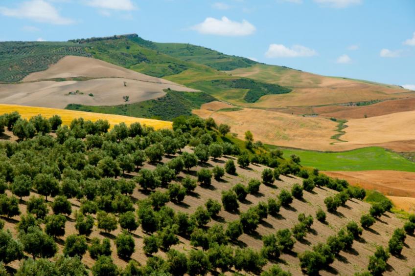 Chianti Wine Site Apt Private Balcony - foto 24
