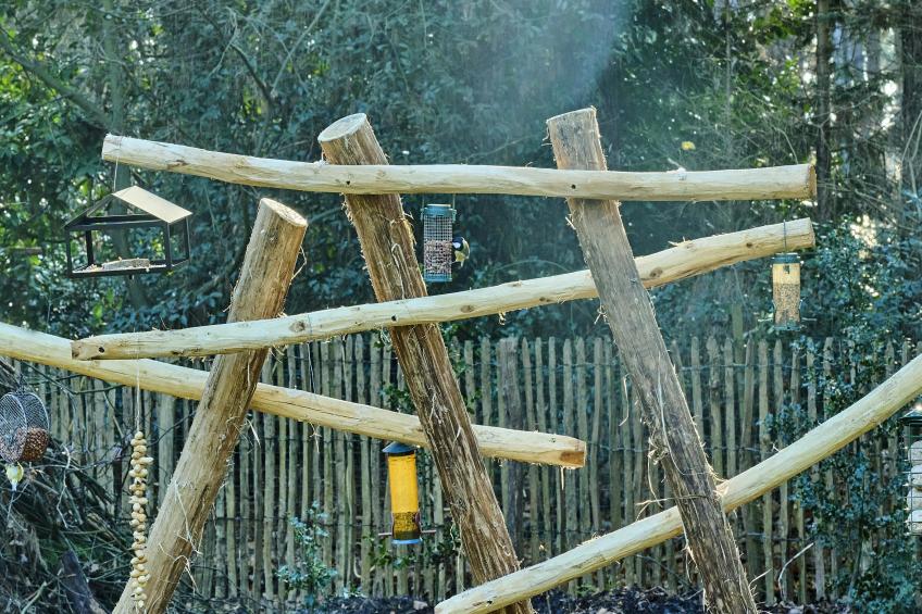 Lierelodge - foto 51