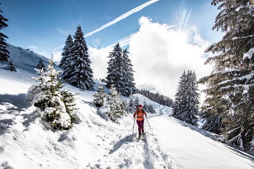 Portes Du Soleil PSB187 TELECABINE & MOUNTAIN 4 Pe - foto 7