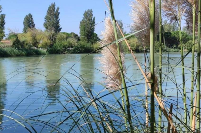 Le village Camarguais Les Gardians - foto 35