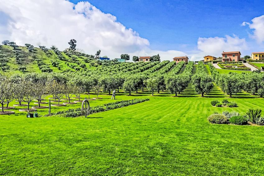 Velia's House - foto 6