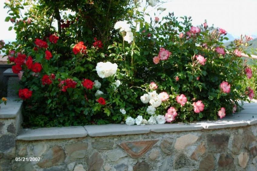 Agriturismo L'Argilla - Wohnung - foto 7