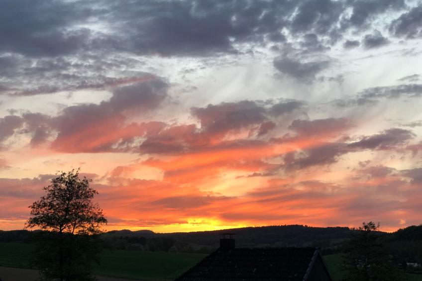 Stausee in Kirchheim Seepark - foto 25