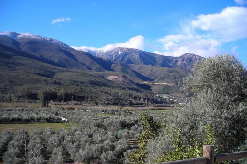 Eine Oase der Ruhe mitten in der Stadt - foto 43