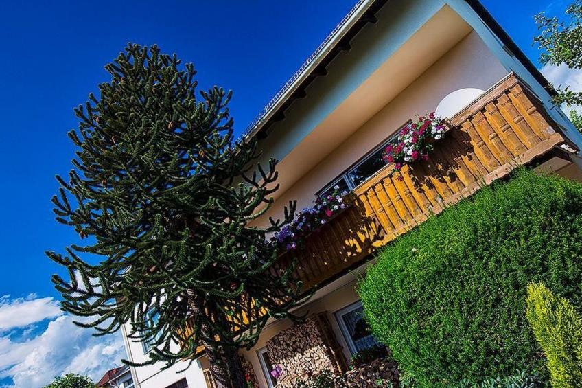 Zum Mensfelder Kopf - foto 22