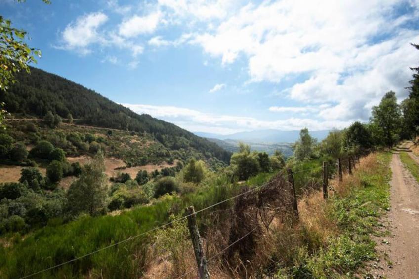 Gîte de France Gîte de montredon 3 épis - foto 40