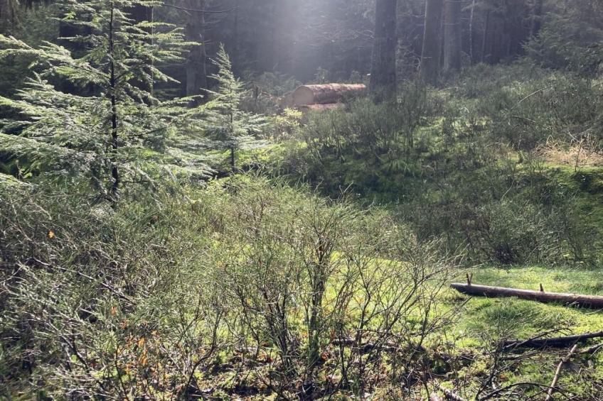 Exklusives Ferienhaus mit Terrasse und Garten - foto 49