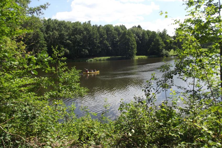 Heidebungalow - foto 39