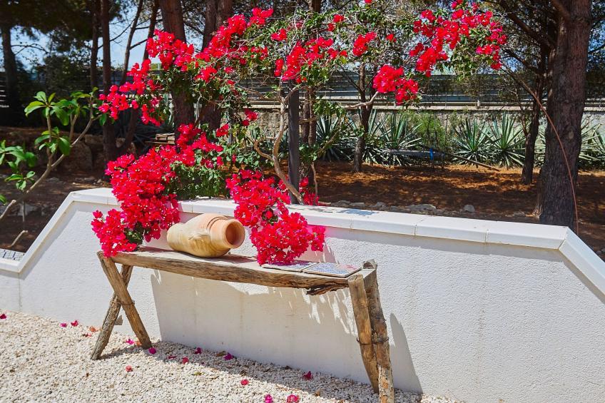 Villa Marinjo - foto 27