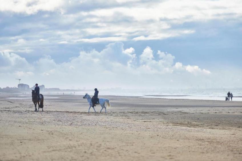 Château la Tuilerie 0701 - foto 18