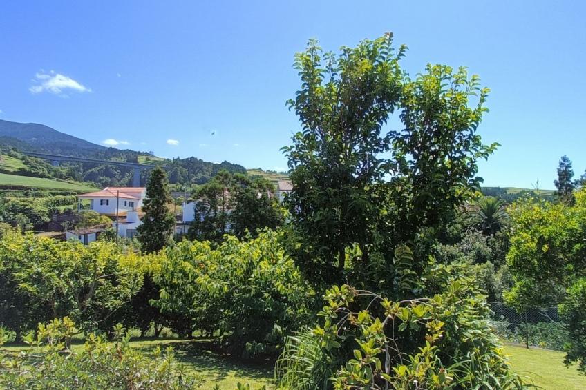 Tradicampo-Casa do Tanque - foto 27