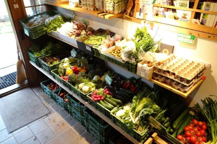 Hof Bommes - foto 17