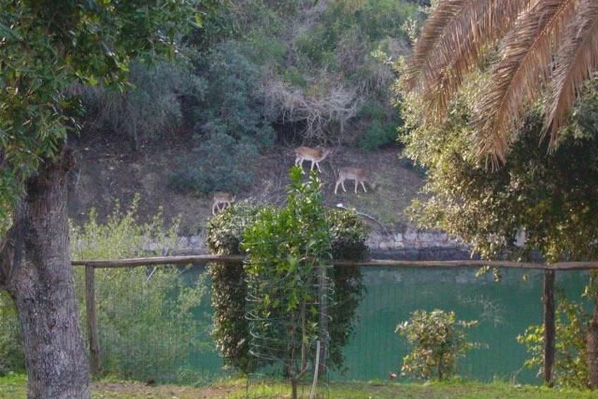 'Villa Paradisino - foto 13