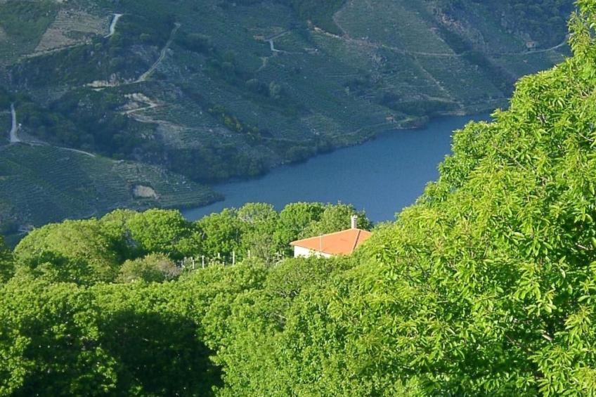 mit Privatpool - foto 36