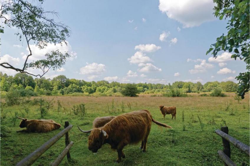 Vakantiepark Horsetellerie - foto 37