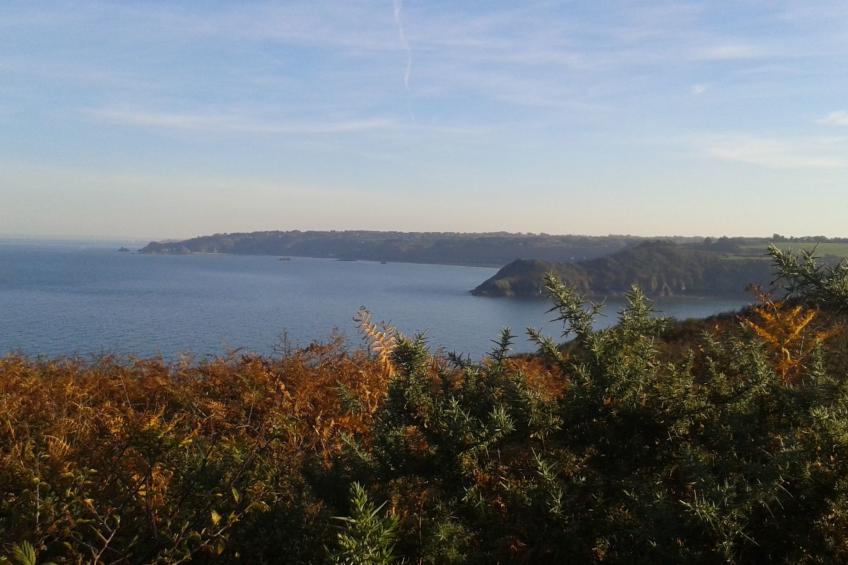 Chalet "gite du bois d'amour" (Hütte des Liebesholzes) - foto 28