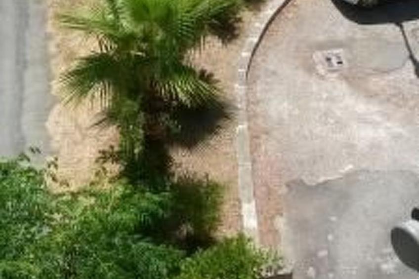 Penthouse mit großer Terrasse - foto 30