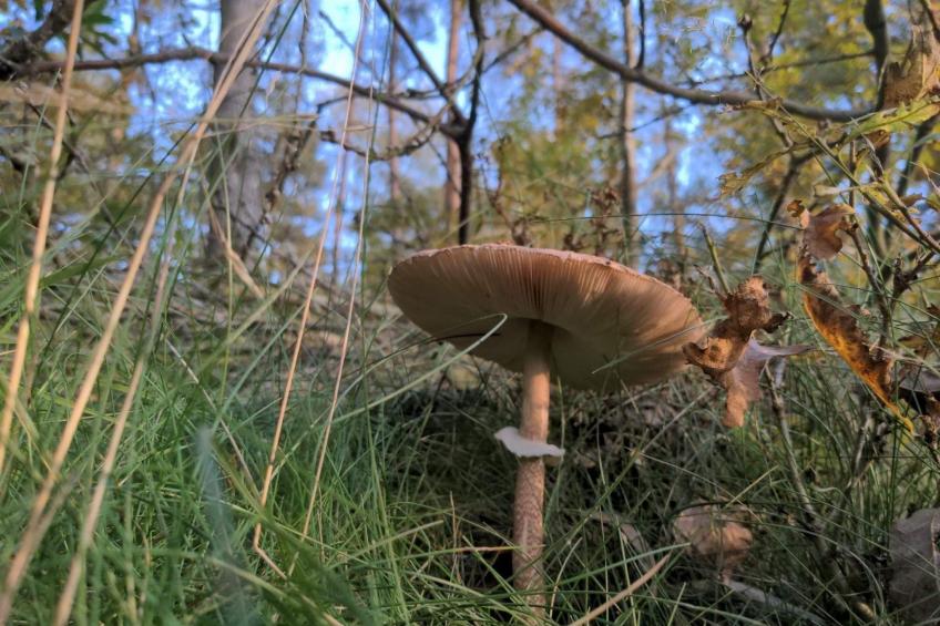 "Ferienhaus GolczaVita" - foto 22