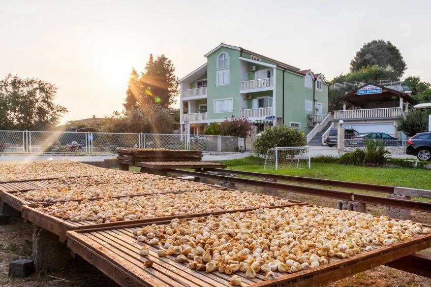 Villa Šolo – Peaceful Nature Park Getaway - Six Bedroom Villa With Heated Pool - foto 5