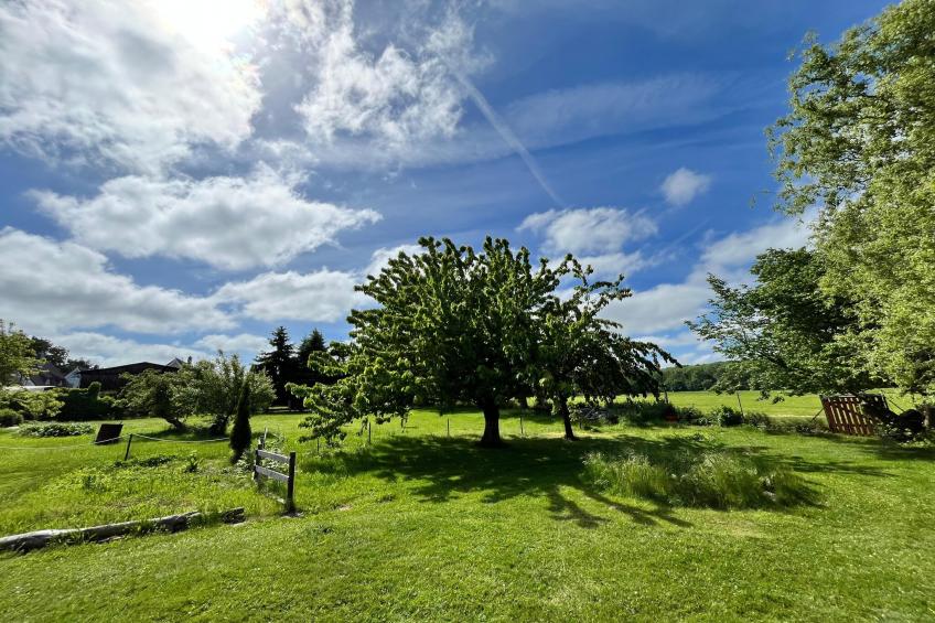 Wiesenblick - foto 8