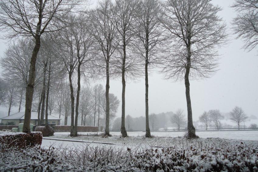 am Hohen Venn - foto 26