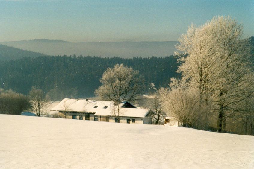 Bayerischer Wald - foto 39
