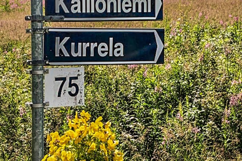 Kallioniemi - foto 40
