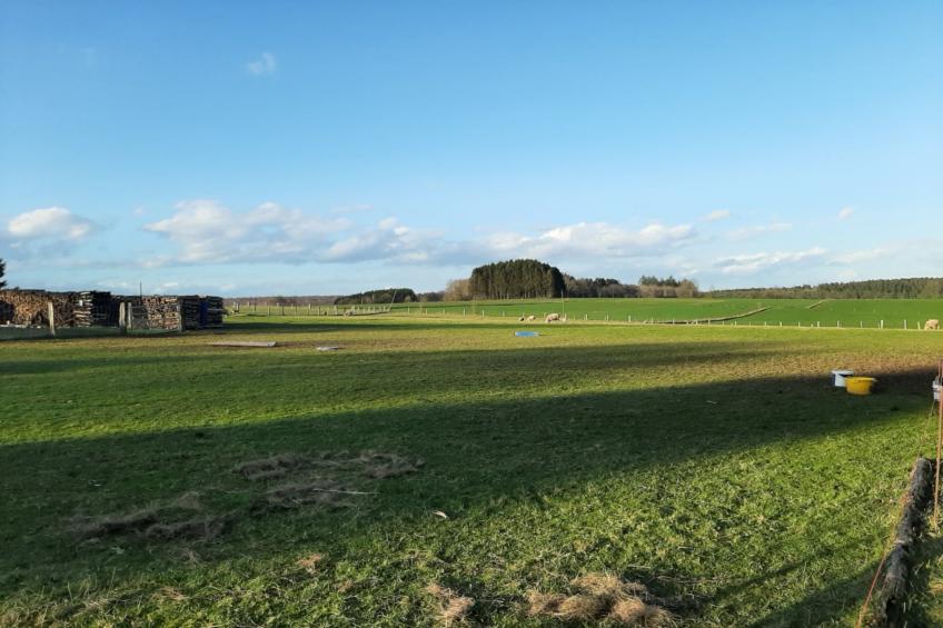 La Bergerie - foto 38