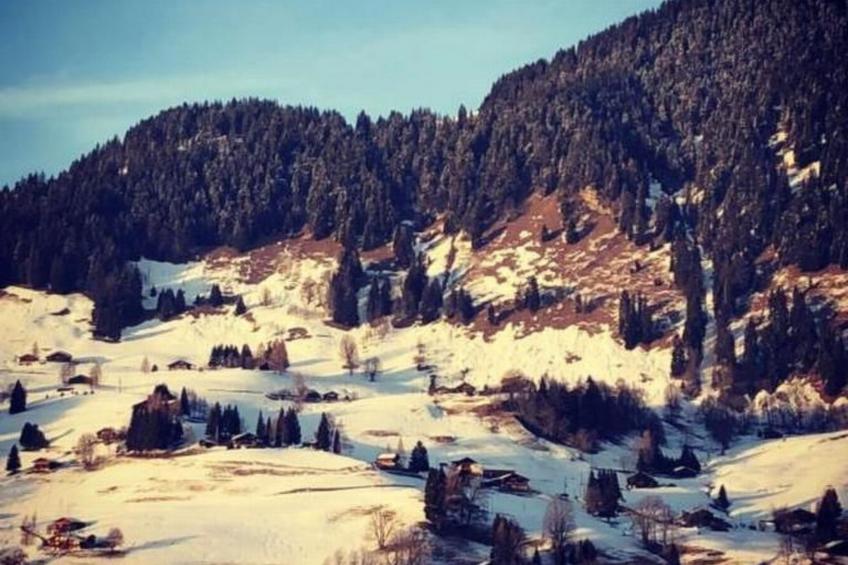 Authentisches Schweizer Alpenchalet aus dem 18. Jh. - foto 46