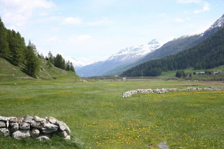 Chesa Arettas - foto 44