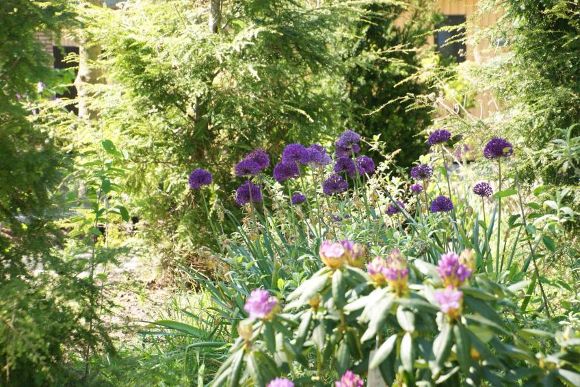 Tentlodge welness Patrijs - foto 32