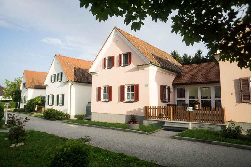 Holiday house in thermal Biodorf incl. Wellness - BF-TY55