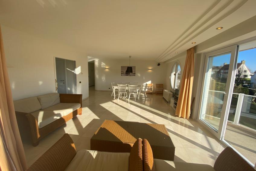 AMARYLLIS 0105 & GAR