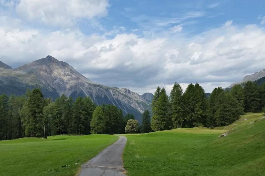 Haus Lü D'aint - foto 8