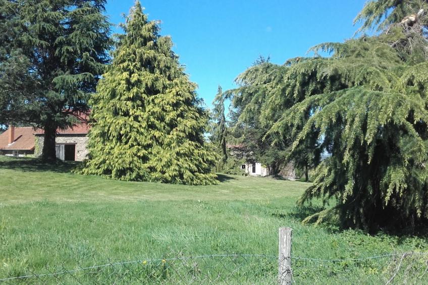 Charmantes Haus in der Auvergne - foto 13