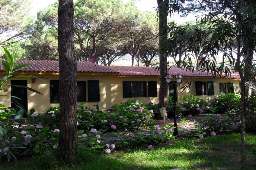 1 Ala Birdi Cottage 150m From The Beach - foto 30