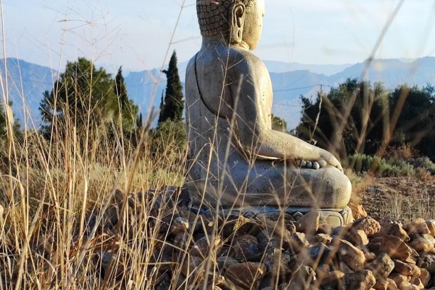 Domicilio de Vida - foto 61