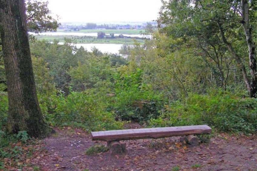 in Rhenen bei Grebbeberg und Wald - foto 14