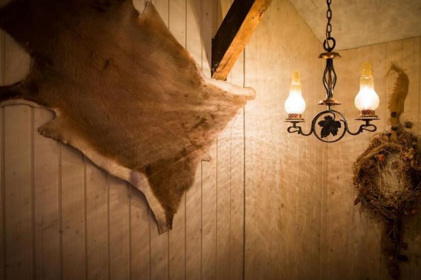 Almhütte Enzian - foto 21