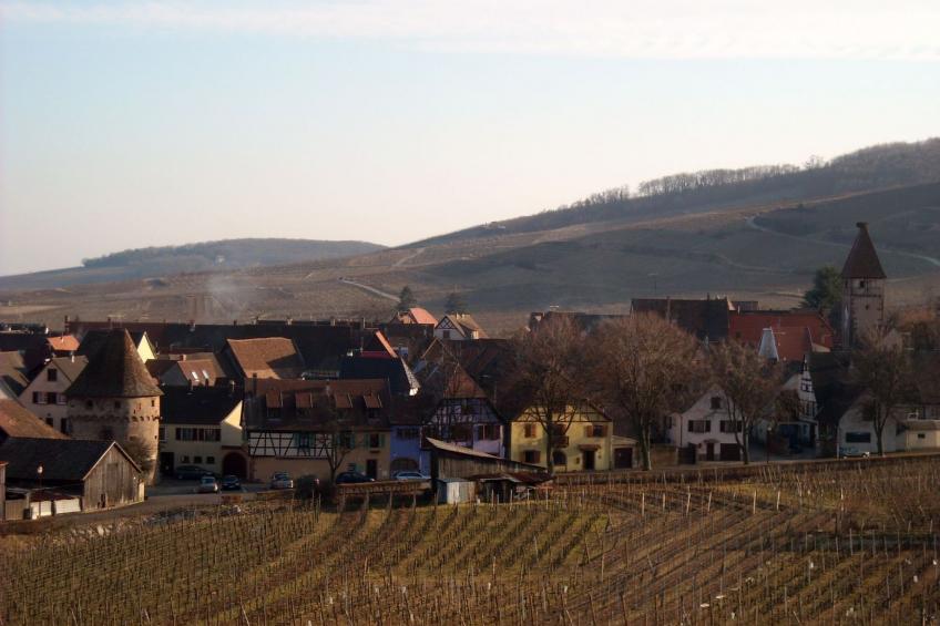 2ed-Face Vosges,im Süden,Herz Weinberg,Ruhig,WiFi - foto 25