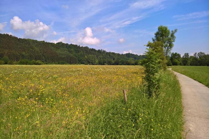 Combles de l'atelier - foto 31