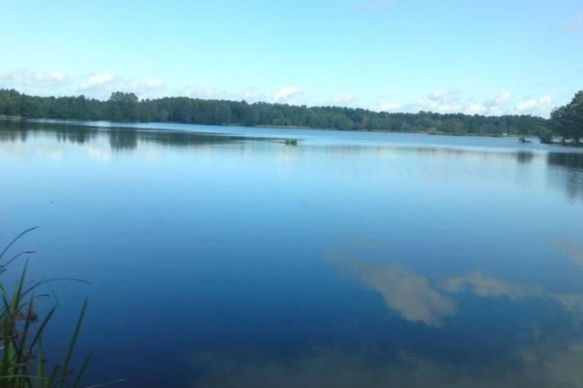 Green House - Entspannung im Schatten einer Eiche - foto 11