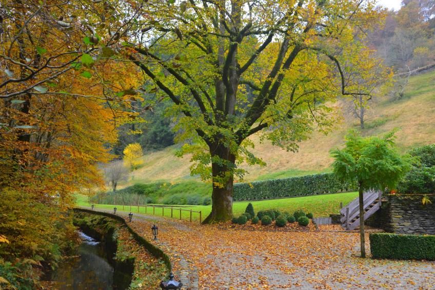 Le Vieux Moulin 16 - foto 13