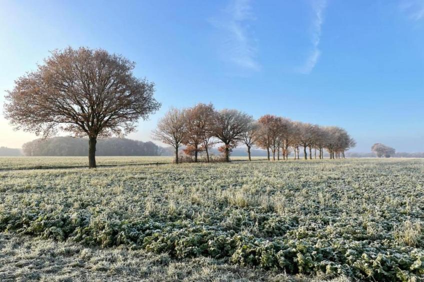 Glamping Resort Lauwersmeer 1 - foto 22
