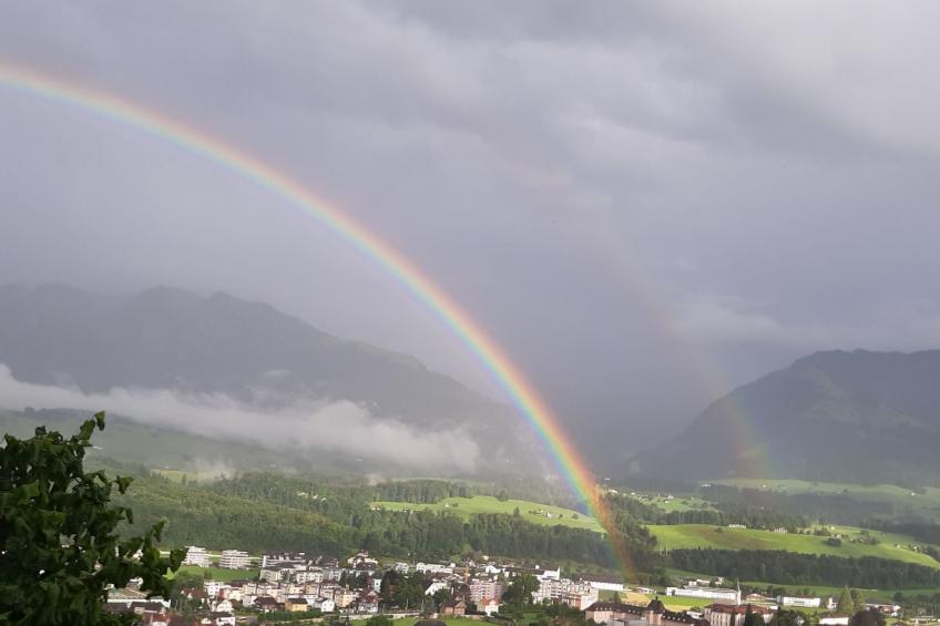 Oase in Sarnen - foto 27