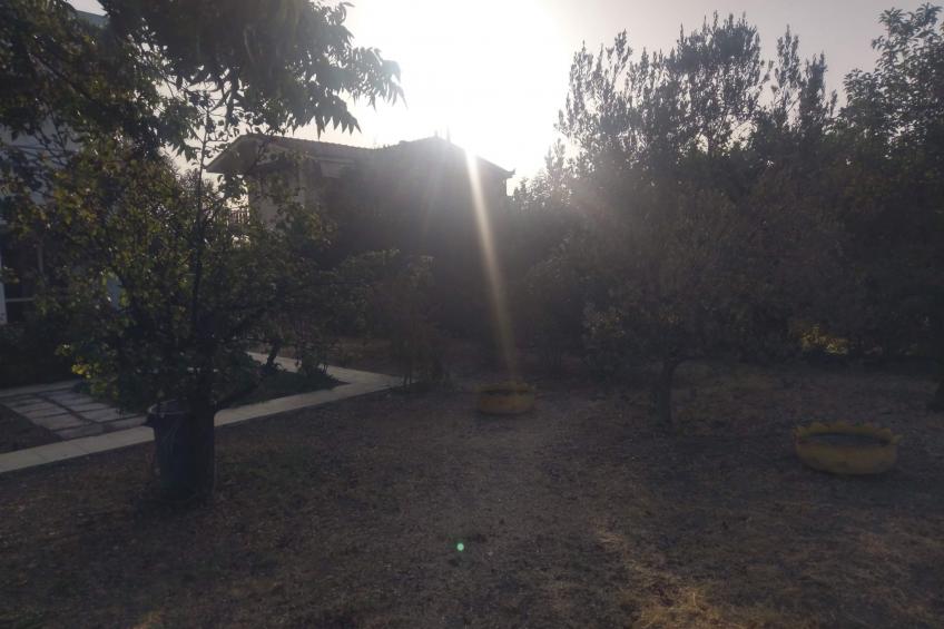 neben Orangenbaum-Obstgarten - foto 30